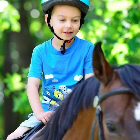 Fenyoharaszt Kastelyszallo 酒店 4*